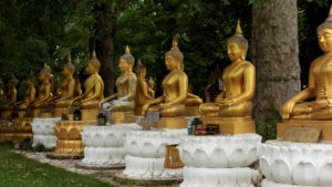La culture du bien-être et des spas à travers le monde : un voyage sensoriel et relaxant